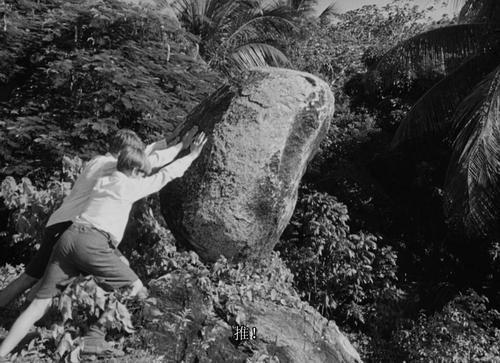 《蝇王》:如果把你和一群人扔到荒岛,你能存活多久