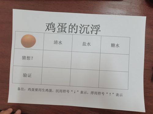 回家进行做的小实验——《鸡蛋的沉浮》