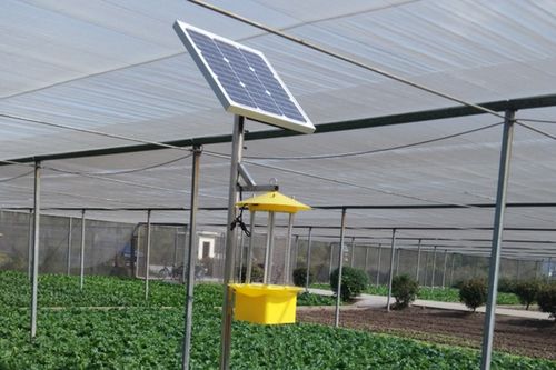 菜地大棚太阳能杀虫灯使用注意事项