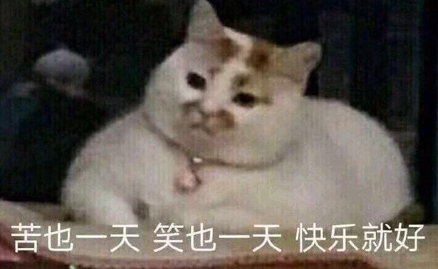 快乐搞笑表情包图片