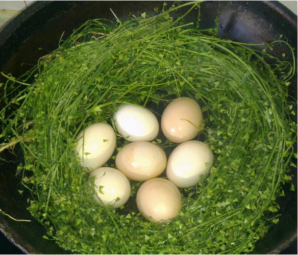 农历三月三将至农村有三月三荠菜煮鸡蛋的风俗有啥寓意