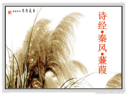 《大学语文蒹葭》ppt课件.ppt