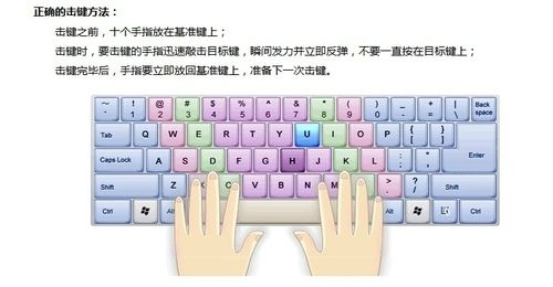 金山打字通计算机英语金山打字通英文版