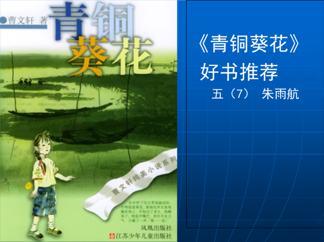 《青铜葵花》推荐.ppt培训课件.ppt