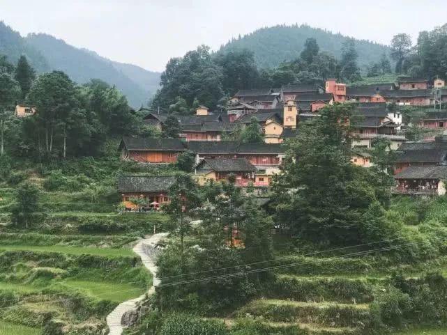 湖南张家界市慈利县三官寺土家族乡罗潭村 176 湖南长沙市长沙县果园