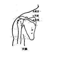 皮肤瘙痒,肩胛酸痛的穴位按摩