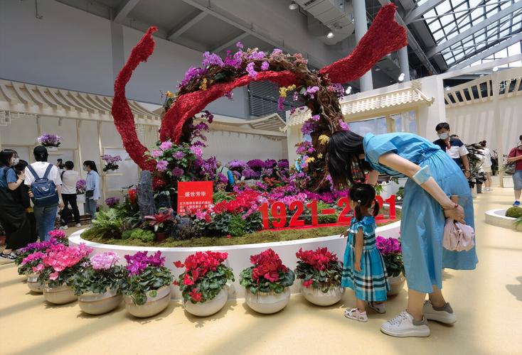 崇明花博会盛世芳华