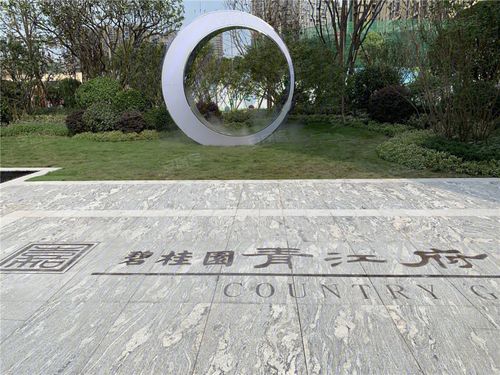 乐山碧桂园青江府-实景图(12) - 乐山安居客