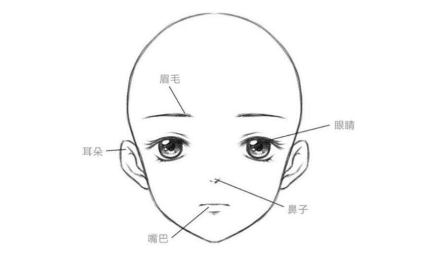 怎么画好人物的脸型?教你动漫人物五官的绘制教程!