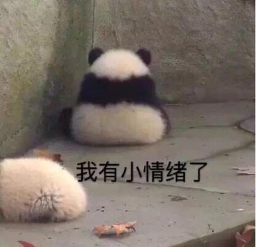 我有小情绪了情绪表情