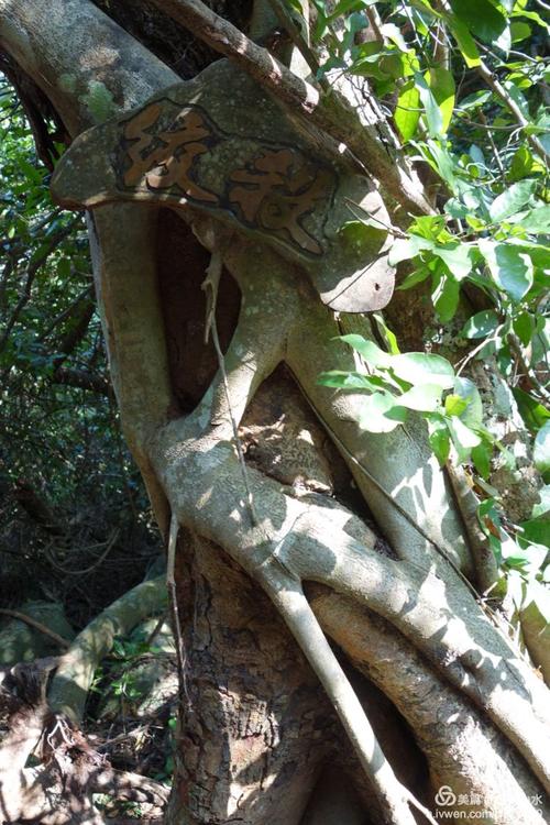 畅游海南:登霸王岭情道 霸道 天路