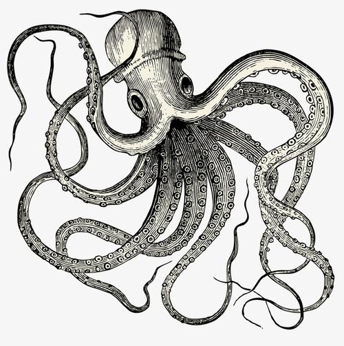 卡通章鱼丸子手绘插画海报背景元素