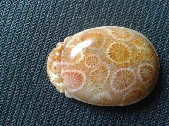 【珊瑚玉】珊瑚玉是什么——会开花的石头