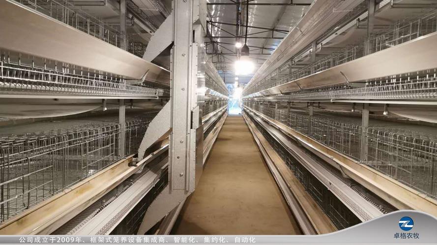 鸡笼设备源头厂家批发养鸡自动喂料机 养鸡场自动喂鸡