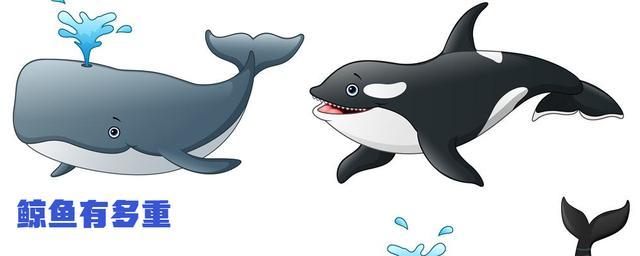 它是哺乳动物,外形像鱼,通常生活在深海里,世界上最大的鲸鱼种类是