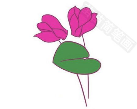 仙客来球的简笔画 简笔画图片大全-蒲城教育文学网