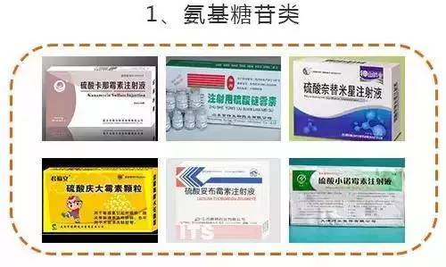 氨基糖苷类:有链霉素,庆大霉素,卡那霉素,妥布霉素,小诺霉素,奈替米星