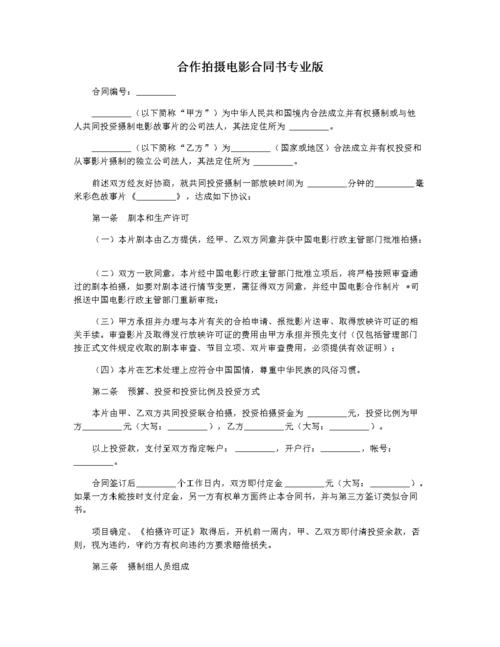 合作拍摄电影合同书专业版.docx 6页