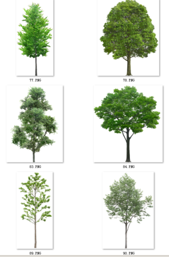 树木/植物/后期/树木/园林/景观绿化树(04)psd/画册图册宣传册设计