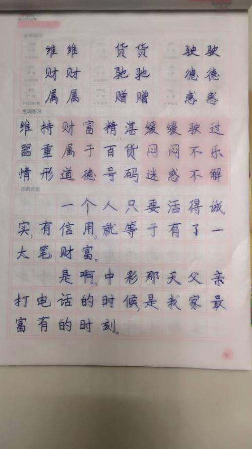 每天除了把作业写完之后,还要坚持练习字帖!