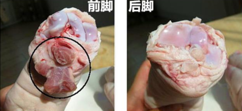买猪蹄时,注意前脚和后脚,口感差别大,方法教给你,可别买错了