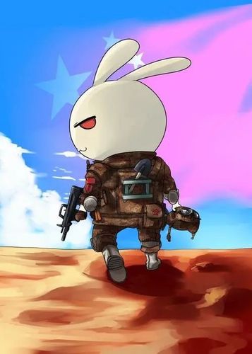 《那年那兔那些事儿》