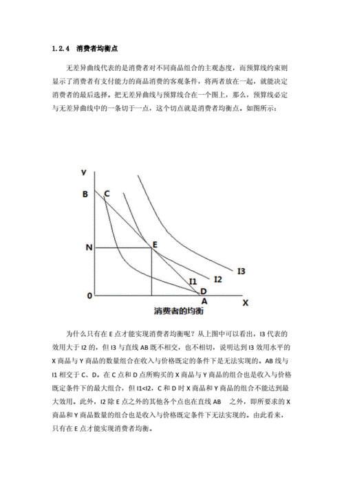 [对生产者均衡点与消费者均衡点平衡状态的分析.docx 10页