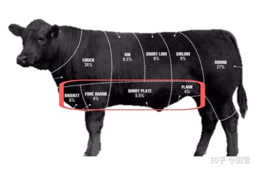 前胸,后胸主要用来涮火锅,原切肥牛片就出自这两个部位.