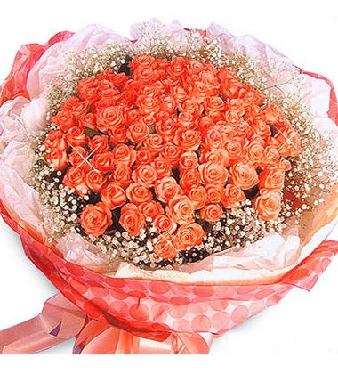 道歉进阶,道歉用什么花?