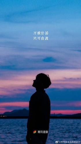 悲喜自渡,他人难悟易误.