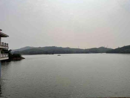 契爷石水库-"钓鱼人都懂的,fiu的那声最让人激动,前.