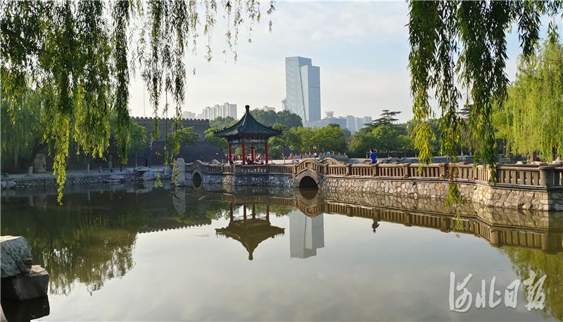 河北邯郸:丛台公园晨曲 秀美景色与生命活力完美融合