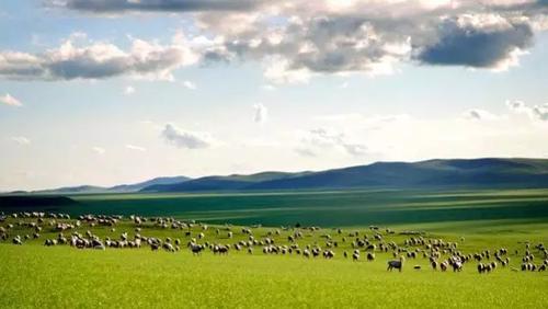 首次参加大朗"织交会"内蒙苏尼特右旗