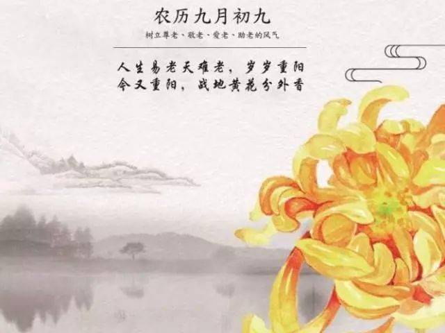 重阳节丨岁岁重阳今又重阳