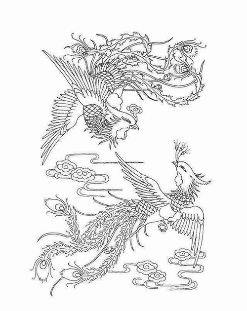 工笔白描凤凰!恭请大家欣赏!