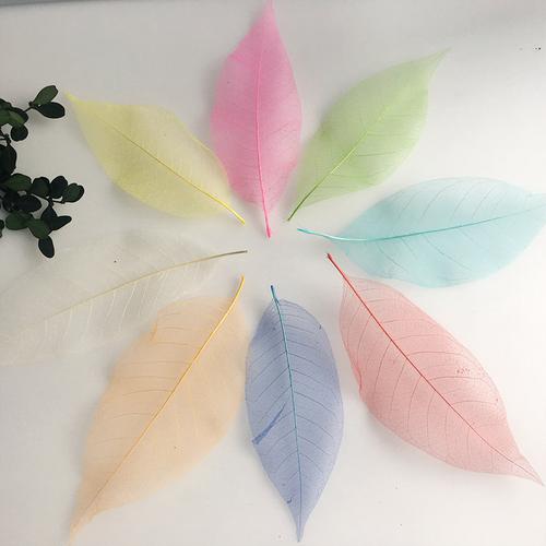 书签干花压花标本植物diy制作材料包手工自制古典中国风天然树叶创意