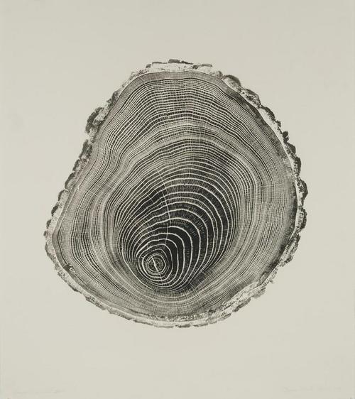 zl2143-英国当代艺术bryan nash 年轮抽象画 软装设计方案素材