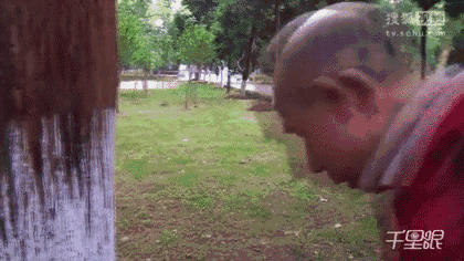 这些年 有一种养生运动 在老年人中风靡 那就是 撞树 如果你有到公园