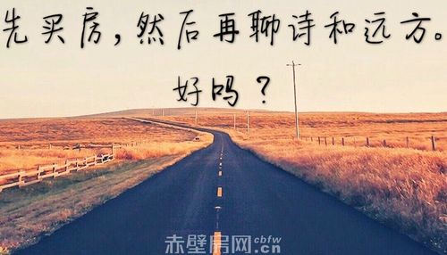 我们能不能先买房再聊诗与远方呢