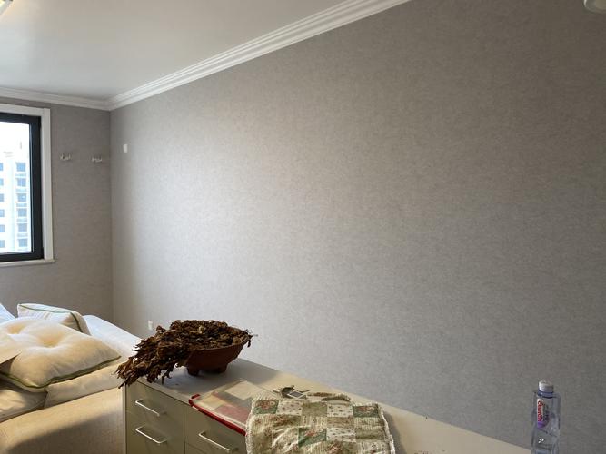 客厅色彩是冰川灰