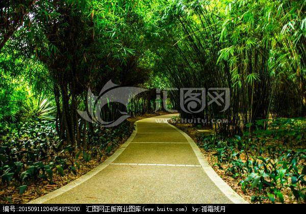 [正版商业] 绿荫小道