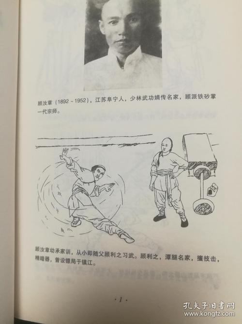 顾汝章秘传铁砂掌