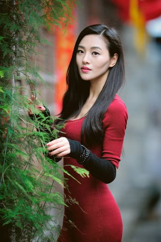 演员郑清文