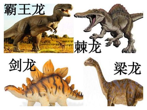 《恐龙知识讲堂》