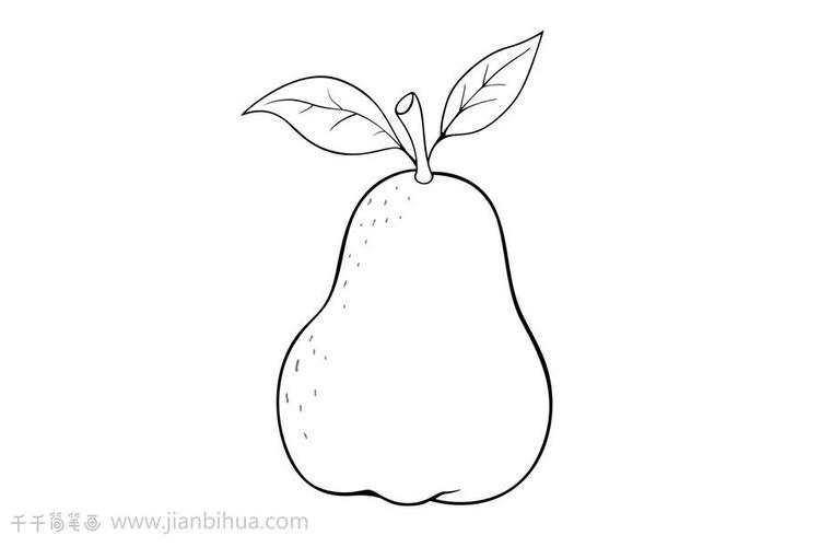 梨简笔画 喜欢收藏