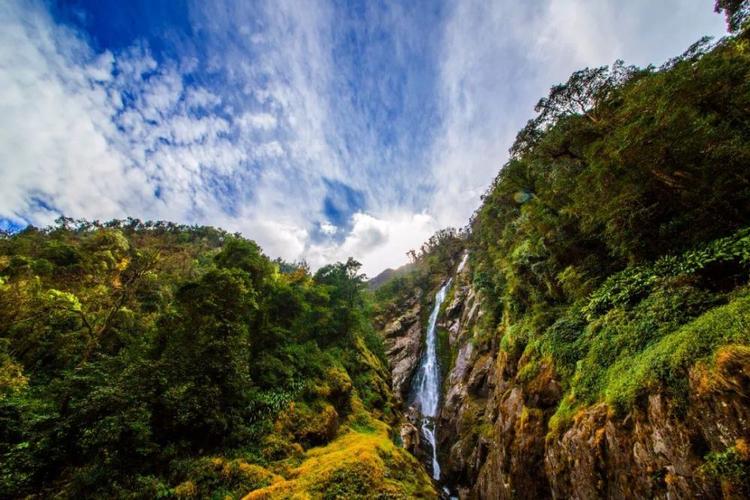 中国最美森林——云南怒江高黎贡山