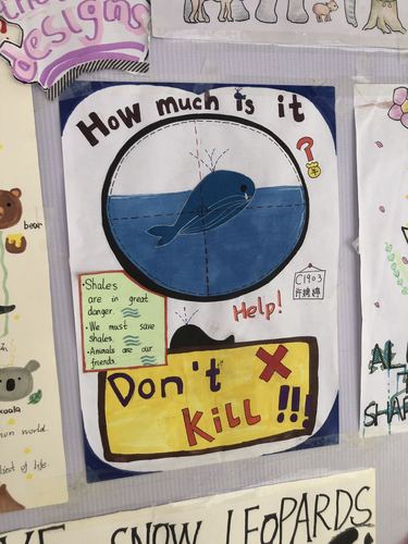 七年级"保护动物"英语海报展