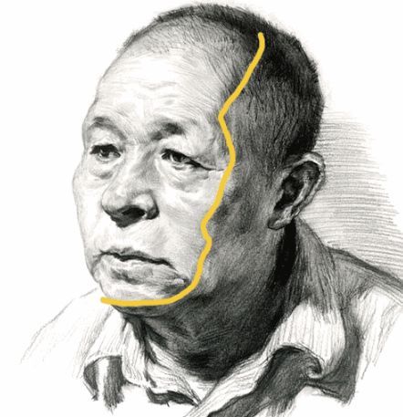 怎样画好素描中的明暗交界线