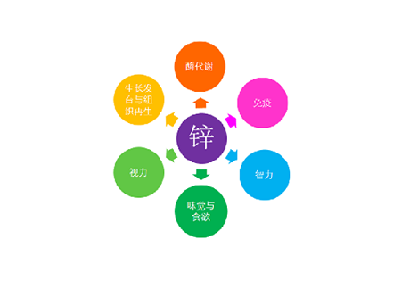 台湾班护知识科普锌元素竟是如此重要