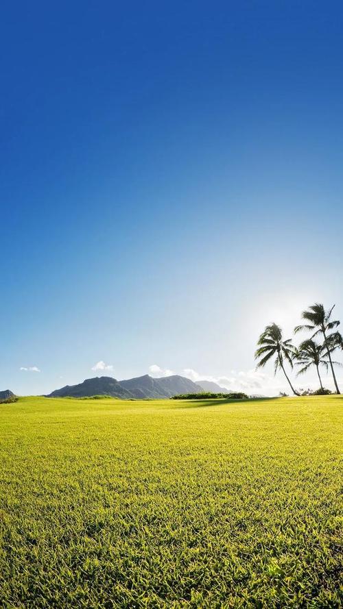 手机壁纸高清好看的唯美小清新壁纸